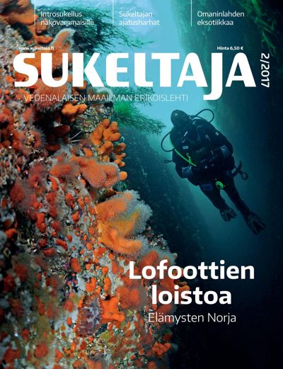 Sukeltaja poster