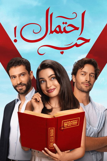 Possible Love poster